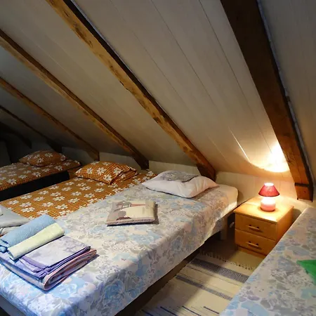 公寓 Frendlen Apartmend 派尔努